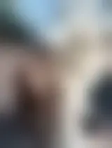 Chatta con pablita e donne single in Vaiano Valle