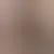 Profile of prettynorica