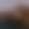 Contacter sami446