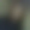 Chatea con sihiel26078 y solteros en Mexico
