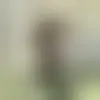 Chat with teemoney and singles near Kentland