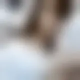 Charla con valentina22