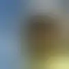 Chat with vehuiel17675 and singles near Washington