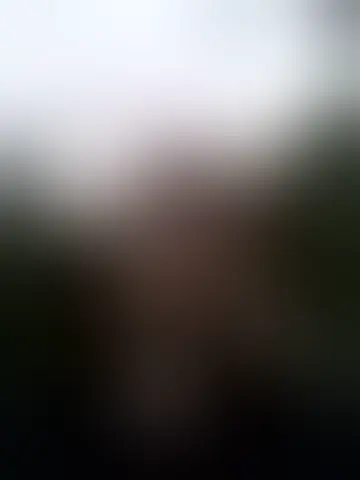 Contacter willy3107