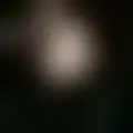 Reden mit wolf9602