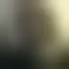Contact xeno69