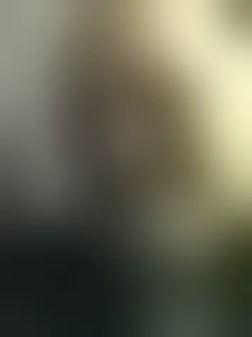 Photo of xeno69