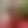 Discutez avec yanos13110 et des célibataires vers Salon-de-Provence