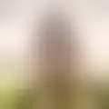Reden mit zaberax64378