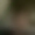 Discuter avec zegmaar